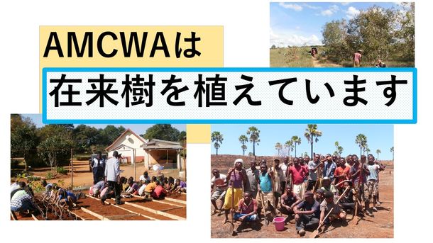 Npo法人アジア母子福祉協会 マダガスカルで在来樹による自然回復を目的にcampfireにて クラウドファンディングを開始 終了まで残りわずか 無料プレスリリース Pr Free